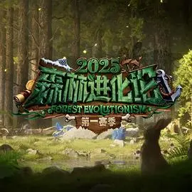 《森林进化论》第三季：生存法则下的自然奇观！