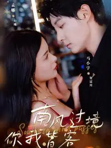 南风国境你我皆客 海报