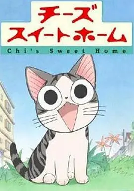 《甜甜私房猫》：萌化你的心！一只小猫的爆笑日常与暖心治愈之旅